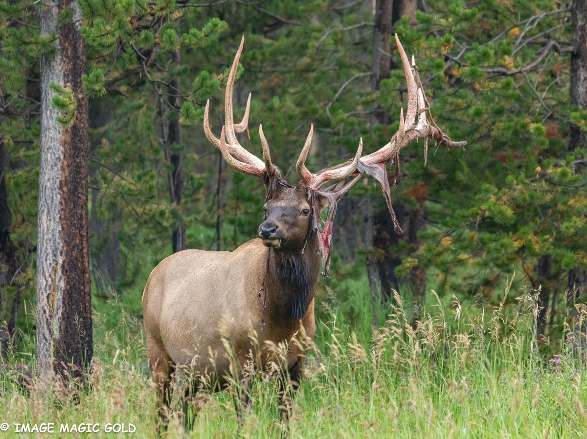 Capt. Cris tweet media