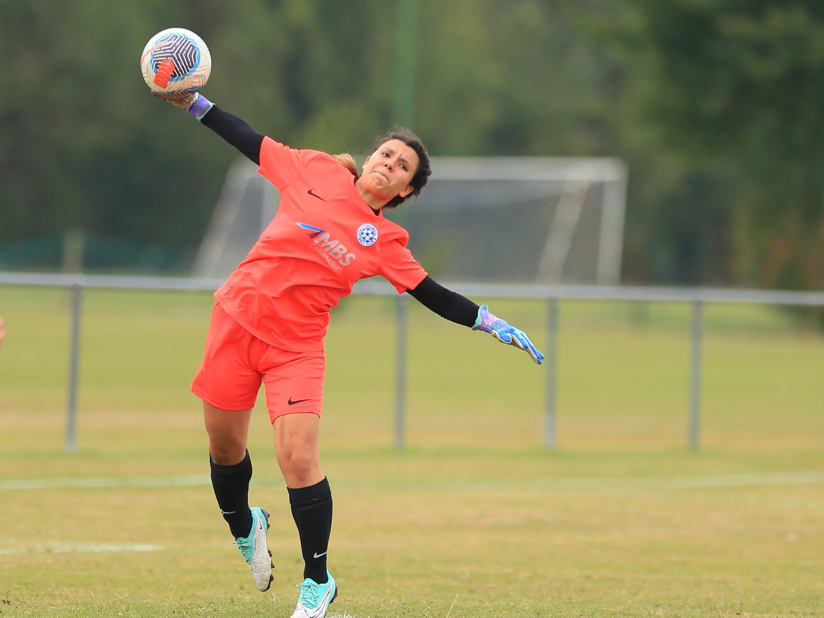 A Bridge Too Far tweet media