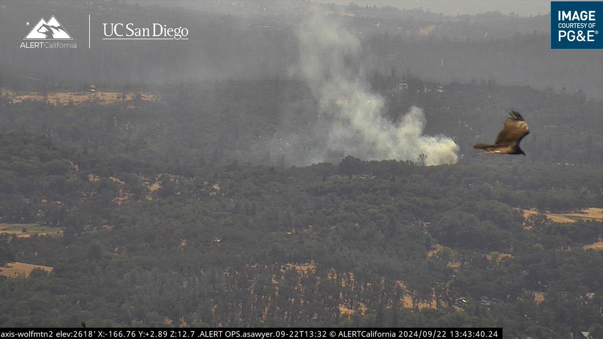 KernFiregraph's tweet photo. Two fires in Nevada County right now. #NorthFire is currently 1-1.5 acres with a moderate rate of spread (first image).
And in the second image, the #MathisFire is currently half an acre in grass and oak woodland. https://t.co/hENfaYEE22
