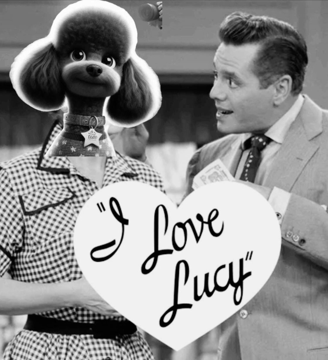 GemsQueens's tweet photo. @pattyice I love $Lucy

My papers say I'm a toy poodle 🐩

Contract Address:
EC7dLWZ6EYPFS6WhSBLcDPQ3ytrWagiLPNSrnrxDpump

Telegram:
https://t.co/gKLXUa2yUk

#Lucyonsol https://t.co/6ZGpZfTVTN