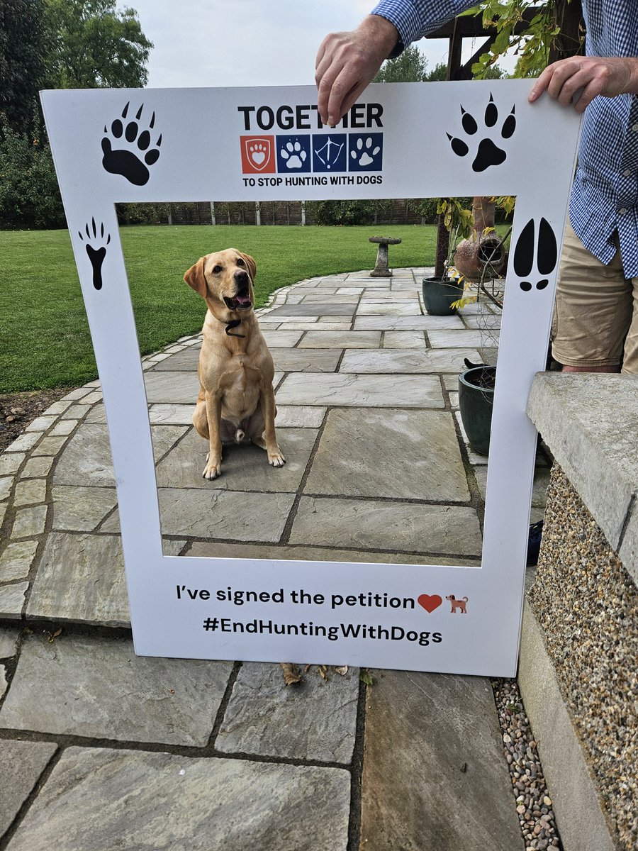norauspca's tweet image. Cooper shows his support to ban hunting with dogs in Northern Ireland. You can too by signing our petition #endhuntingwithdogs #AnimalWelfare