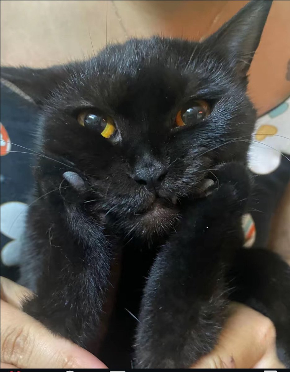 PEPPEPDDR's tweet image. Throw some songs at me pls 13-15