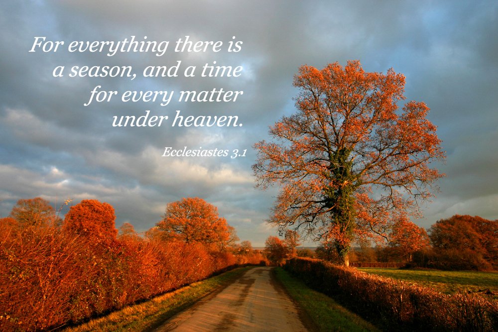 <a href="/IThomas46/">Ian Thomas</a> 

My Warmest Autumnal Equinox blessings to all 🙏🍂