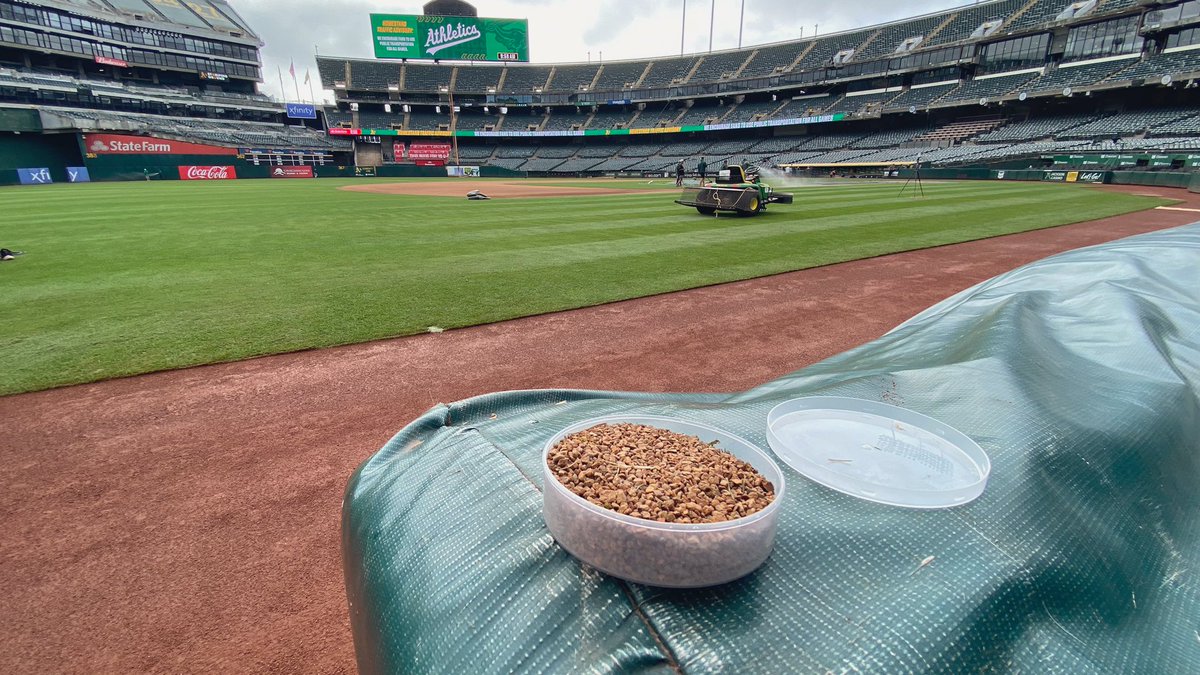 Brodie Brazil tweet media