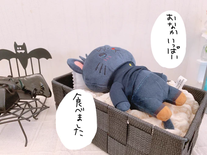 @taemaki219 