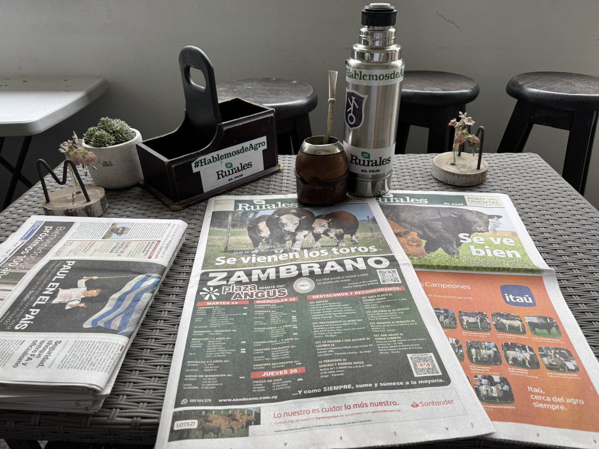 Pablo D. Mestre tweet media