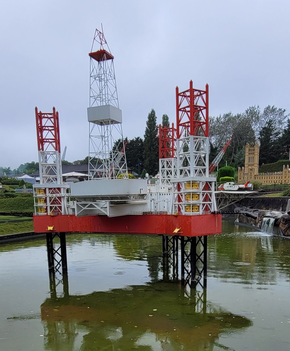 Daily Picture Theme tweet media