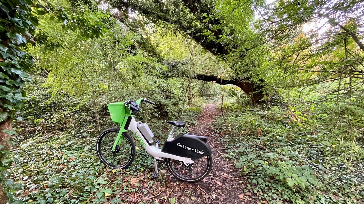elswedgio's tweet photo. @limebike how do you deal with bikes that have been left offroad and may not be usable? I ask because there are at least seven in the Crane Park valley area.  This one has been here for almost four weeks ///spends.whips.breed
https://t.co/G4eLdLDbbp https://t.co/srLJ7zX2Ws