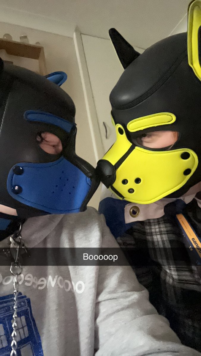 BlueThePup (@bluennja3388) on Twitter photo 