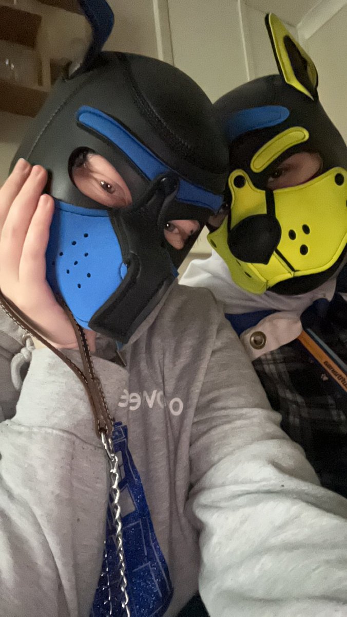 BlueThePup tweet media