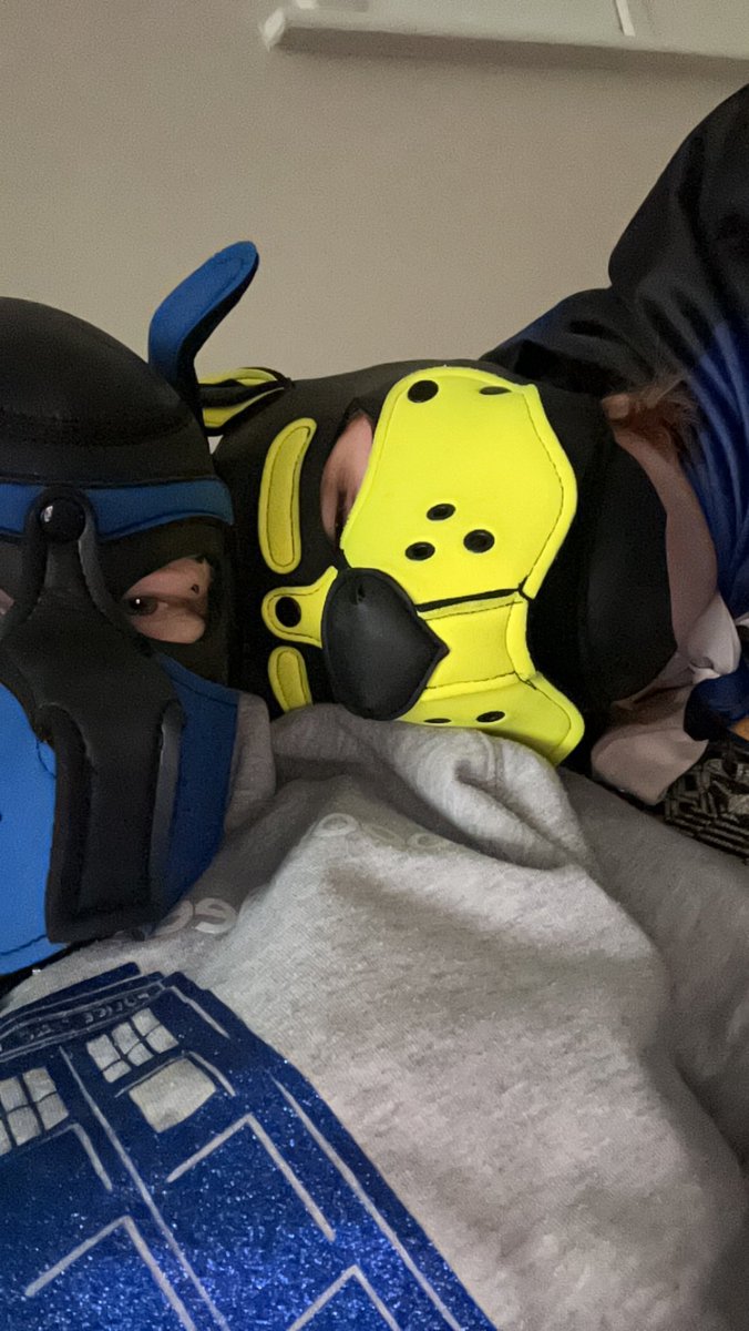 BlueThePup tweet media