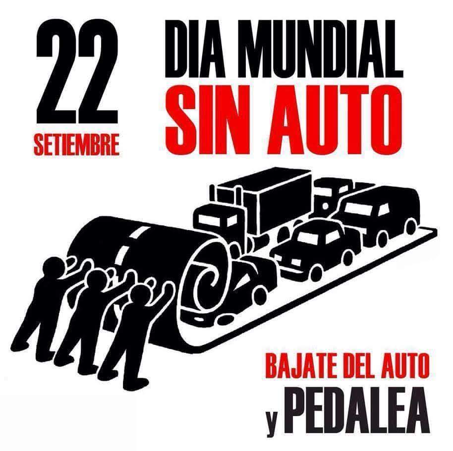 Cerrando la #semanadelamovilidadsustentable  el #DiaMundialSinAuto porque todo cambió por  + ínfimo quenparezca produce impacto <a href="/observatorioUF/">ObservatorioUFLO</a> #bicicleteriataleb <a href="/javiersmellado/">Javier Soto Mellado</a> @voyenbici_argentina <a href="/moviseg_ar/">Coalición Argentina de Movilidad Segura (CAMS)</a> <a href="/PlataformaSust1/">Plataforma Sustentabilidad Integral</a> <a href="/ahimsalvador/">Mariana Mariana</a>
<a href="/MAlvaradoMR/">Monica Alvarado 💚💜</a>
<a href="/gliverotti/">Guillermo Liverotti</a> #möbelcittā