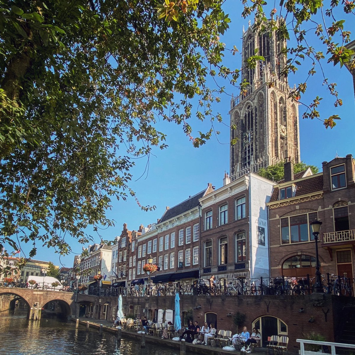 Wilbert Pot 💬 tweet media