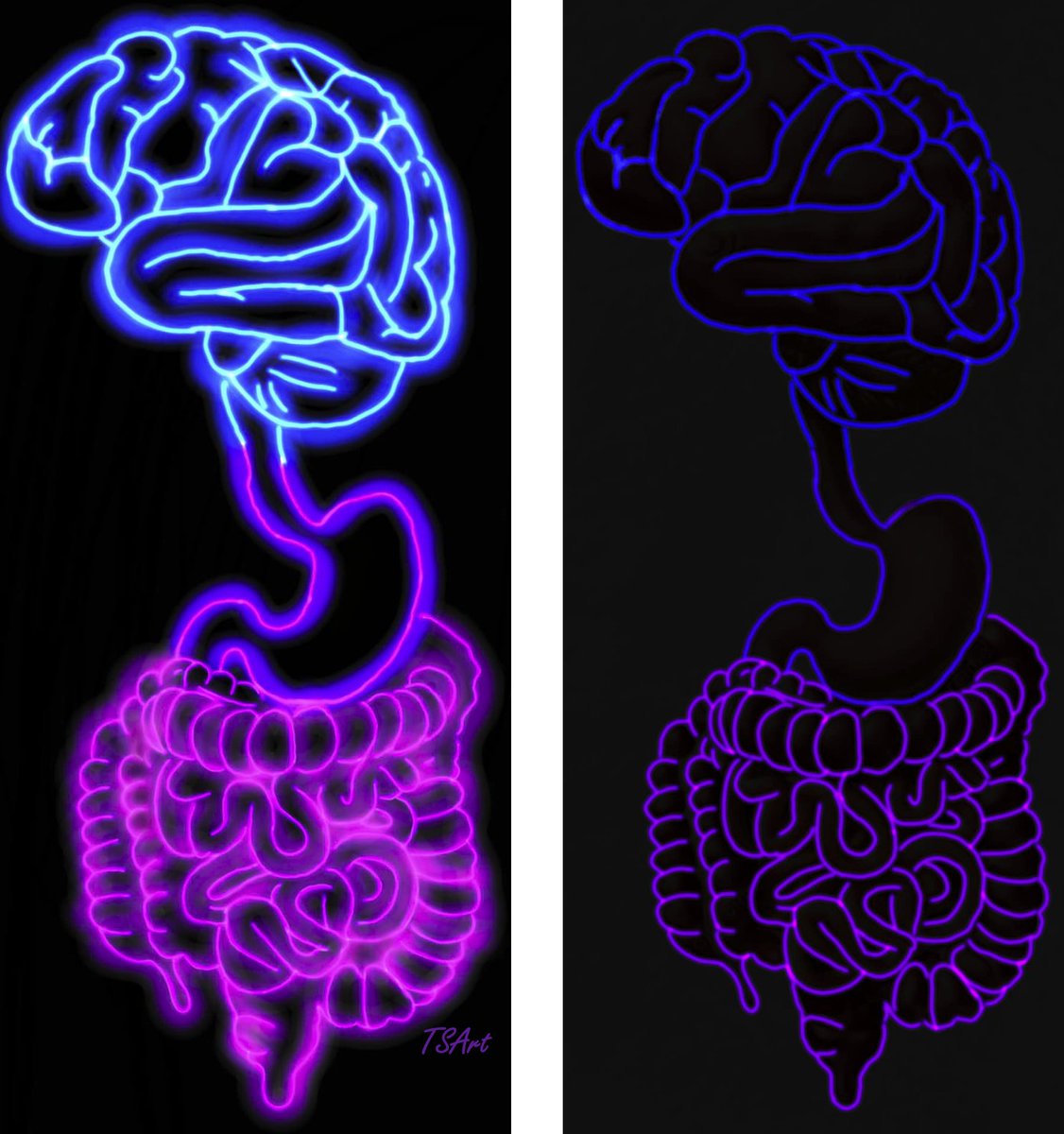 Rajan___Singh's tweet photo. My little one👧 created this incredible #GutBrainScience illustration‼️
📢Is not the Gut directly connected to the Brain🧠⁉️
😇Trilled to see a little young mind's love for Gut-Brain Science👏🙌
✳️Amazing artwork beautifully merges science with creativity! 🌟🧠💡 #GutBrainConnection #ScienceArt #GutConnectome🔁#BrainConnectome @GutBrainScience