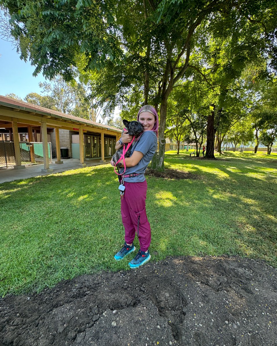 IrvineAnimals's tweet image. Happy first day of fall from the Irvine Animal Care Center! We hope this season brings you cozy comfort at home… maybe with a new pet companion by your side!

Check out our available animals at irvineanimals.org/adopt.

#AdoptLocal #IrvineAnimalCareCenter #FirstDayOfFall