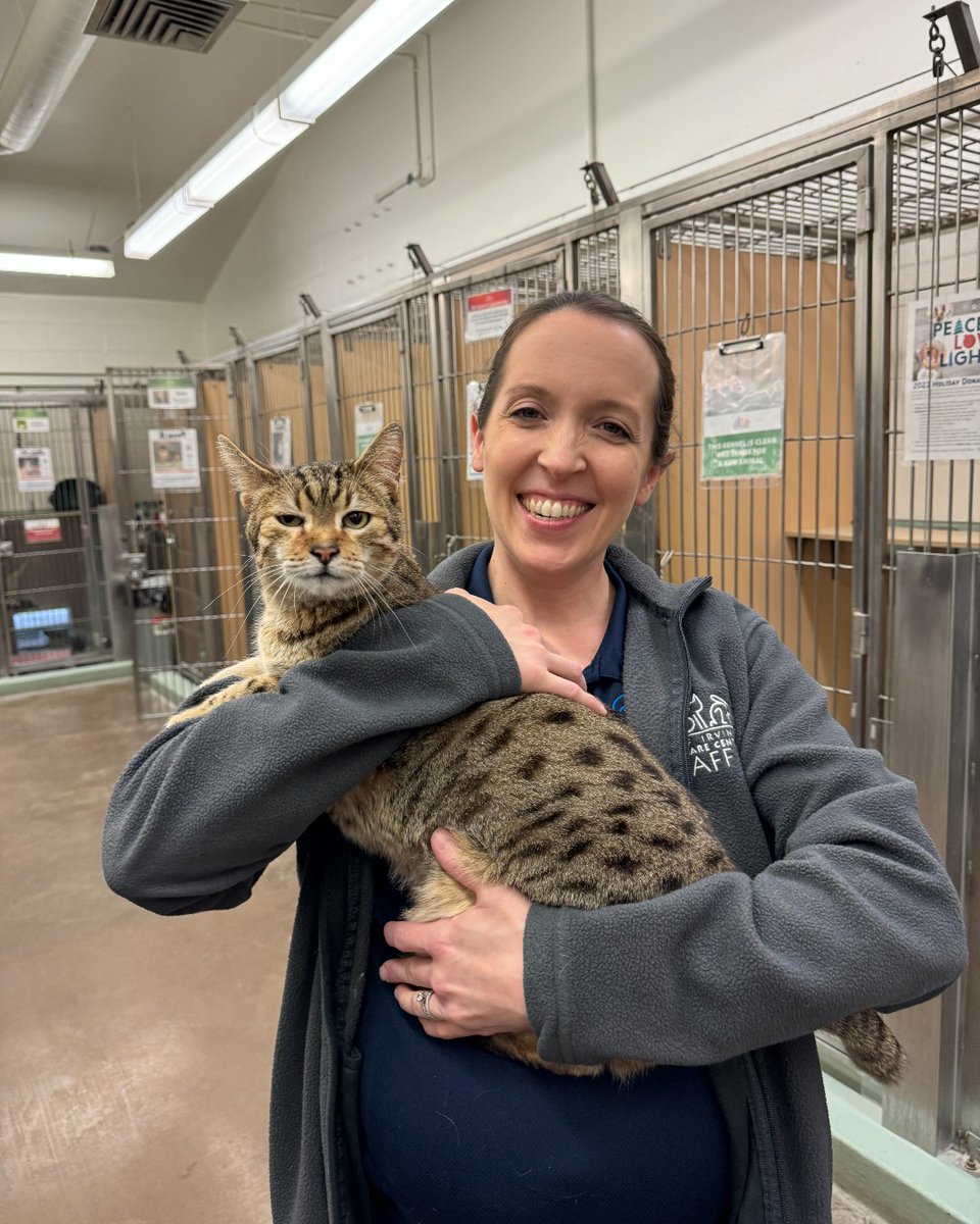 IrvineAnimals's tweet image. Happy first day of fall from the Irvine Animal Care Center! We hope this season brings you cozy comfort at home… maybe with a new pet companion by your side!

Check out our available animals at irvineanimals.org/adopt.

#AdoptLocal #IrvineAnimalCareCenter #FirstDayOfFall