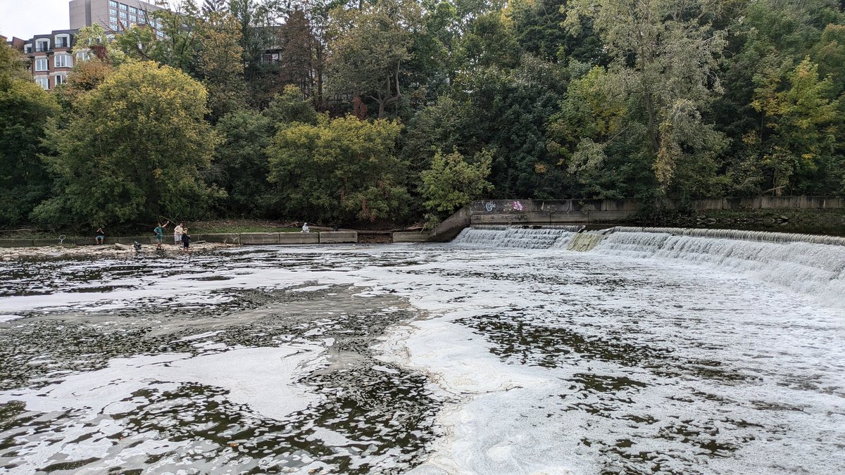 WongGames's tweet photo. . @311Toronto there's people fishing next to the salmon ladder in the Humber River. There's signs posted not to fish within 60 meters. Could you send someone to help give the fish a chance? https://t.co/o9swhM57xm