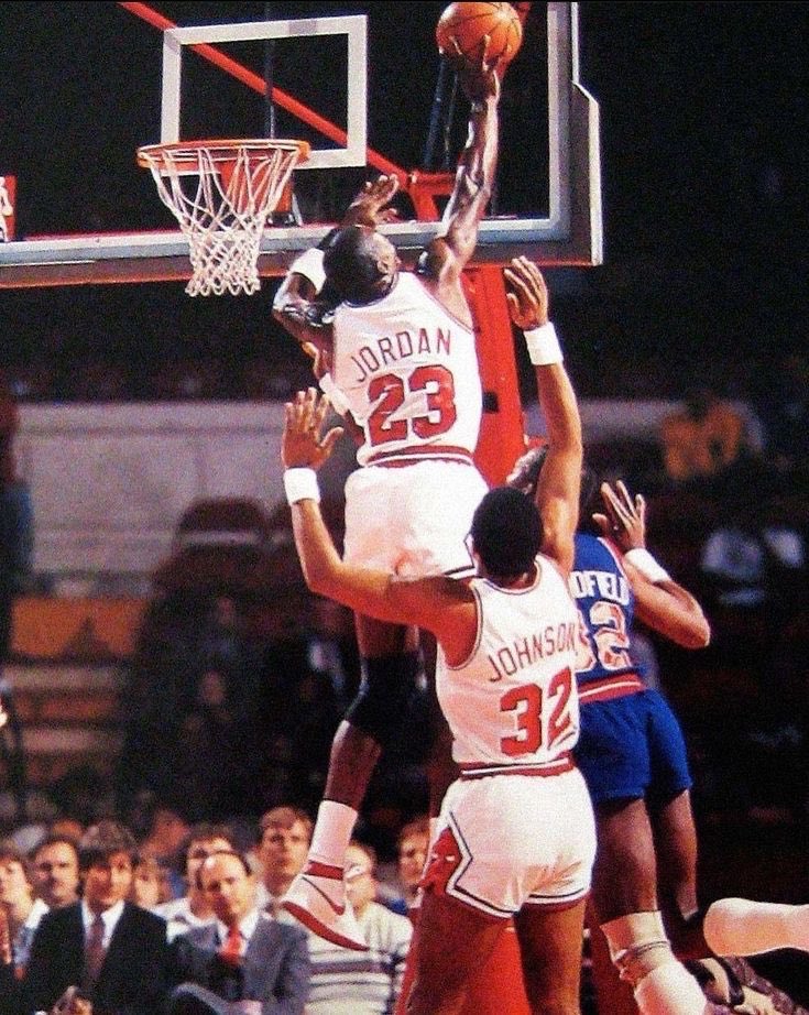 Not in my house!🚫