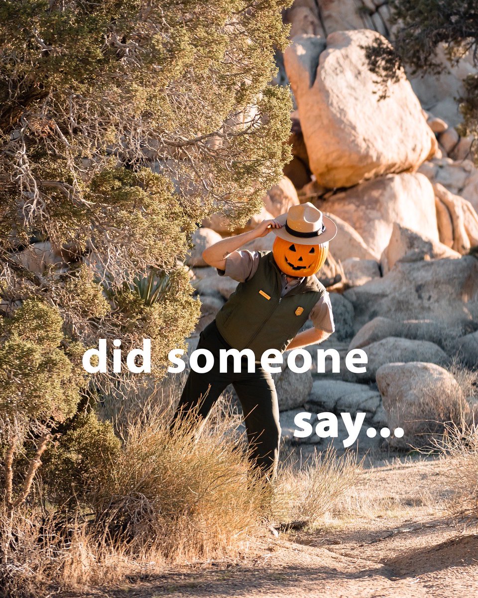 JoshuaTreeNPS's tweet photo. 🍂 Going from summer to fall be like... 🍂 

Sweater weather? ✅
Pumpkin spice? ✅
Prepping for Joshua Tree’s busy season? 🤔

As temps cool, it’s prime time to visit! Visit our website for essential info: 

https://t.co/xFr3Nqam4E

Photo by: NPS https://t.co/UZz4cSZV0U