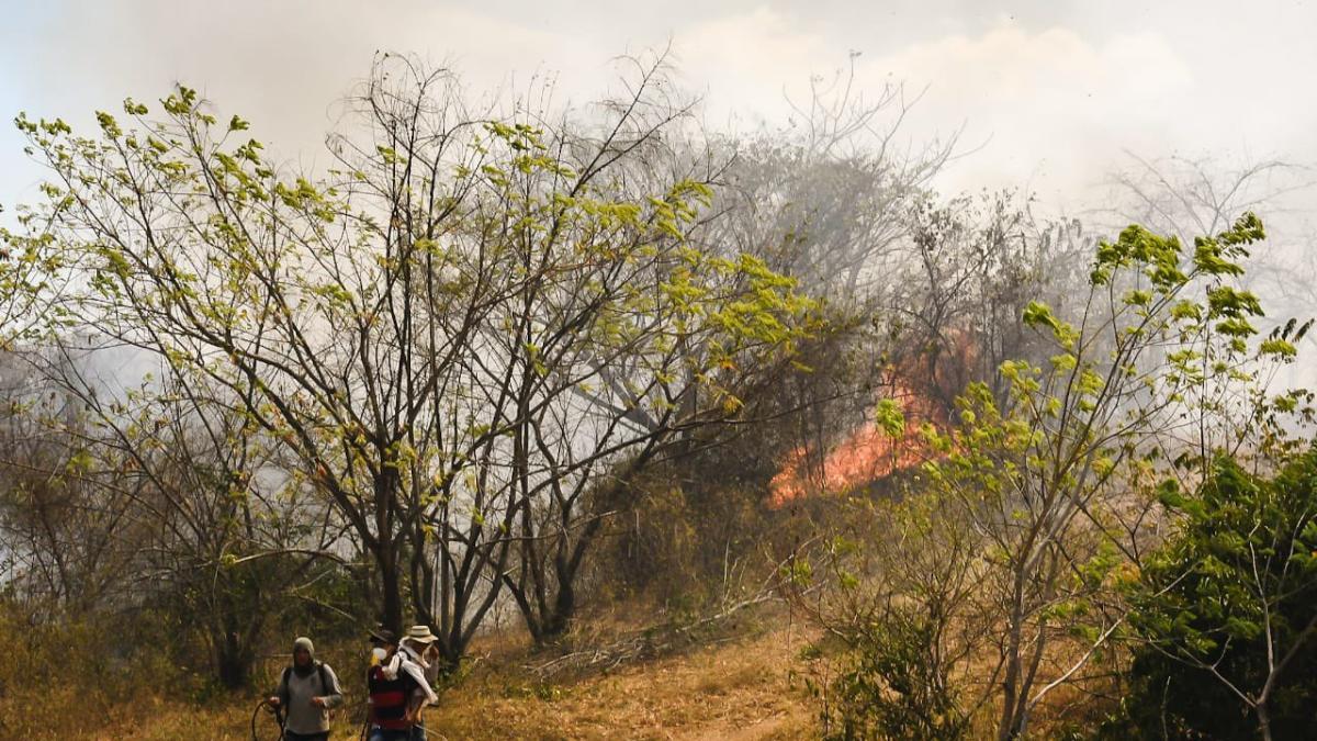 NoticiasOceko's tweet photo. Incendios forestales en Colombia siguen fuera de control: hay 31 puntos de fuego activos y se reportan cerca de 11 mil hectáreas afectadas https://t.co/Aqr1ZvpIDN https://t.co/iF6cpag8MH
