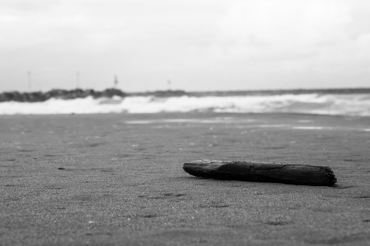 Eylül ‘24
.
📷Fujifilm X-T30 / 16-80mm
🔍Lightroom
.
#lightroom #bnw #bnwphotography #bnwphotographer #fujifilm #xt30 #1680mm #photography #fuji #xseries #fujifilmxt #xt #photooftheday #ig #fujixt #photo #filmphotography #photographer #fujinon #ghan87 #gökhanbitgül