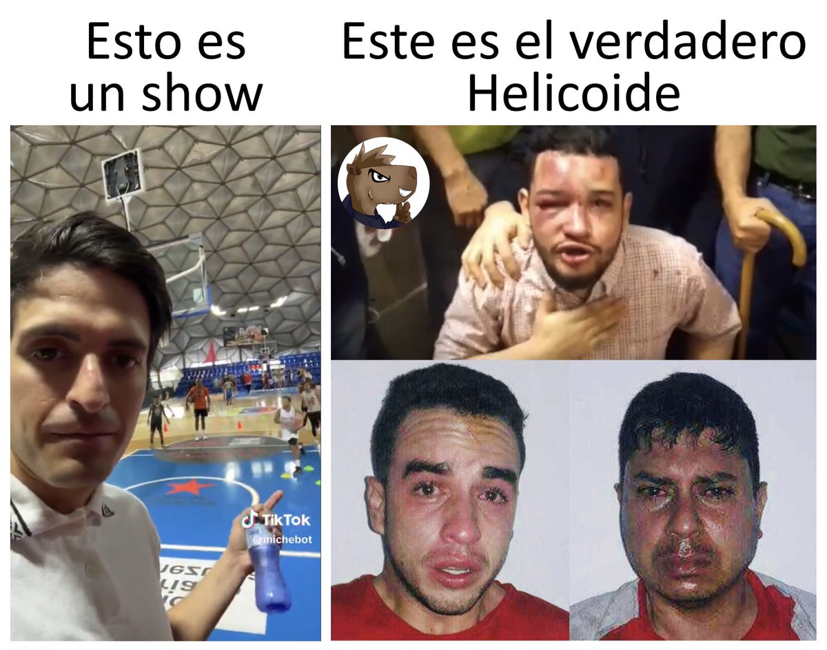 El Chigüire Tripolar (@chiguietripolar) on Twitter photo 