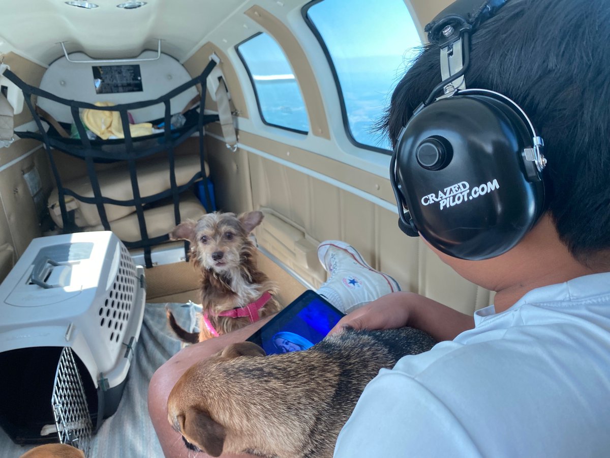 Pilots N Paws tweet media