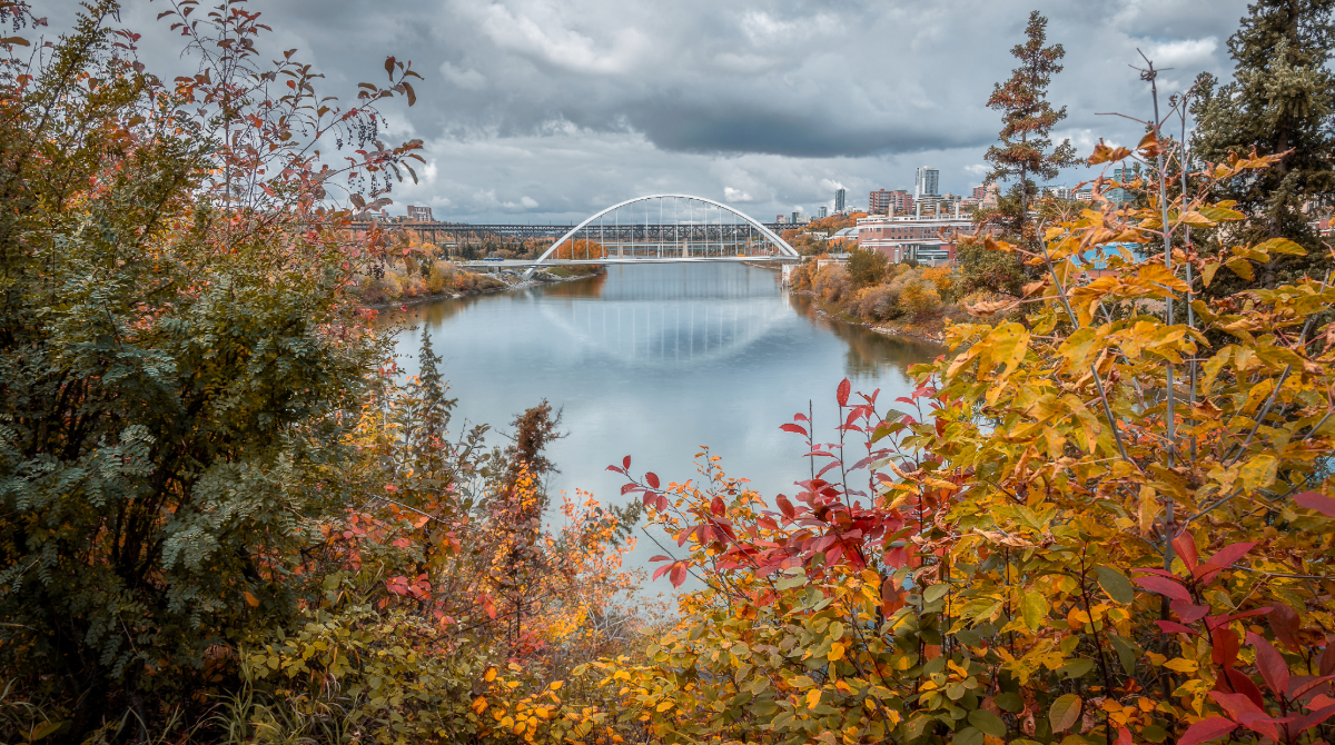 CityofEdmonton's tweet photo. Happy World Rivers Day! Celebrate by exploring the beautiful river valley parks and facilities. 

Take a stroll along the trail network 
https://t.co/Bz8A5aScnj https://t.co/AJ7imEf4VO