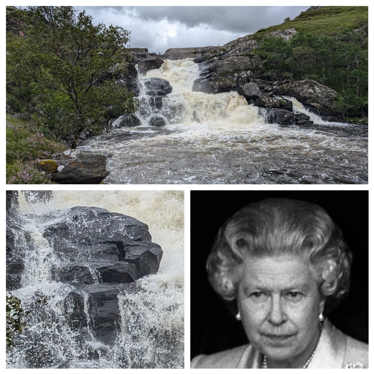 Jim Mortleman tweet media