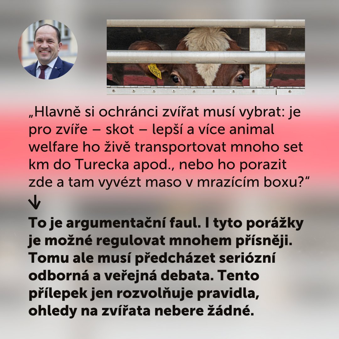 ObranciZvirat's tweet photo. 🌡️ Každý e-mail je teď strašně důležitý! Pište znovu, pokud Vás předešlá odpověď neuspokojí. Klidně použijte některý z argumentů, které vyvrací ministrovy výmluvy. Najdete je na fotkách v tomto příspěvku.
🧵4/5
#obrancizvirat #lepsizakonyprozvirata #ritualniporazka #halal #koser https://t.co/nwO3yCVkfW