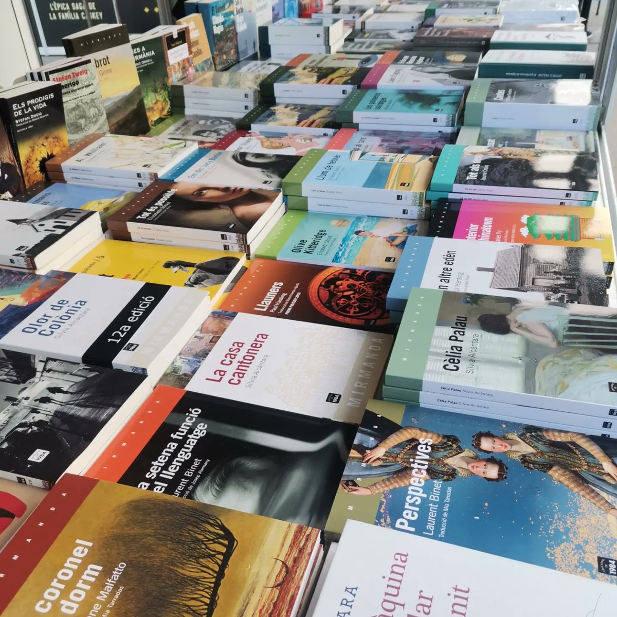 La Setmana del Llibre en Català. Mòdul 14. Veniu 🤍!