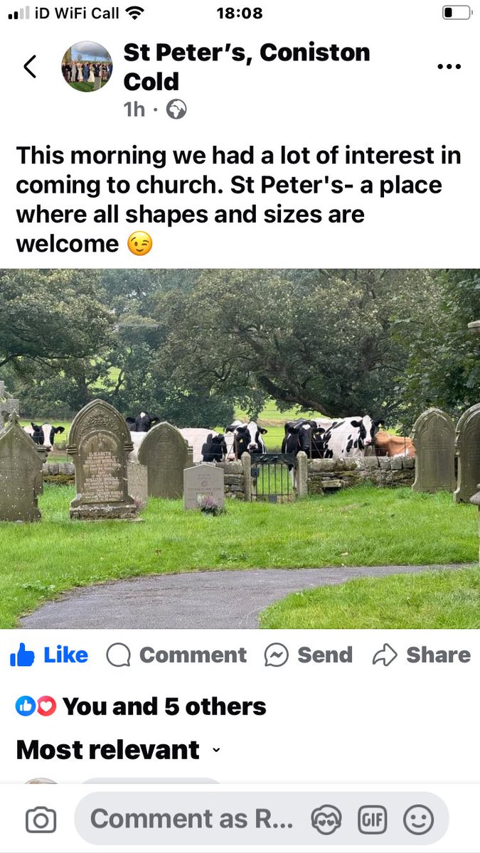 Why I love living in Coniston Cold, summed up in a single image.