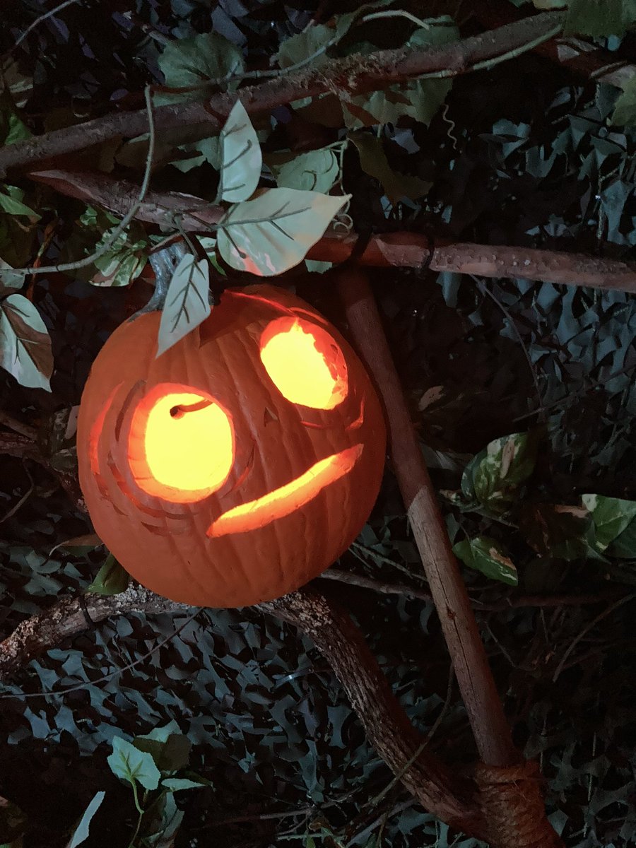 Theme Park Corner tweet media