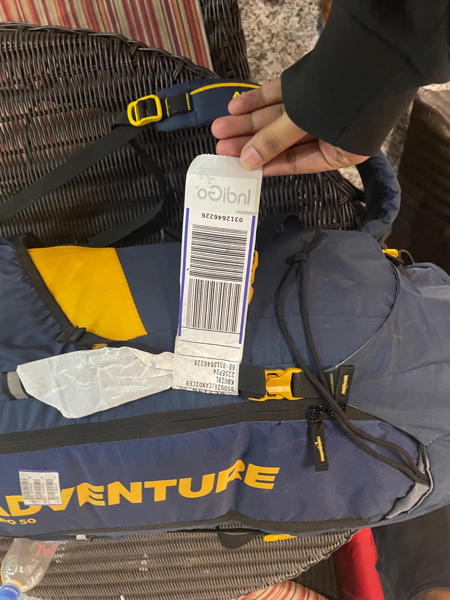 Candice D'souza tweet media