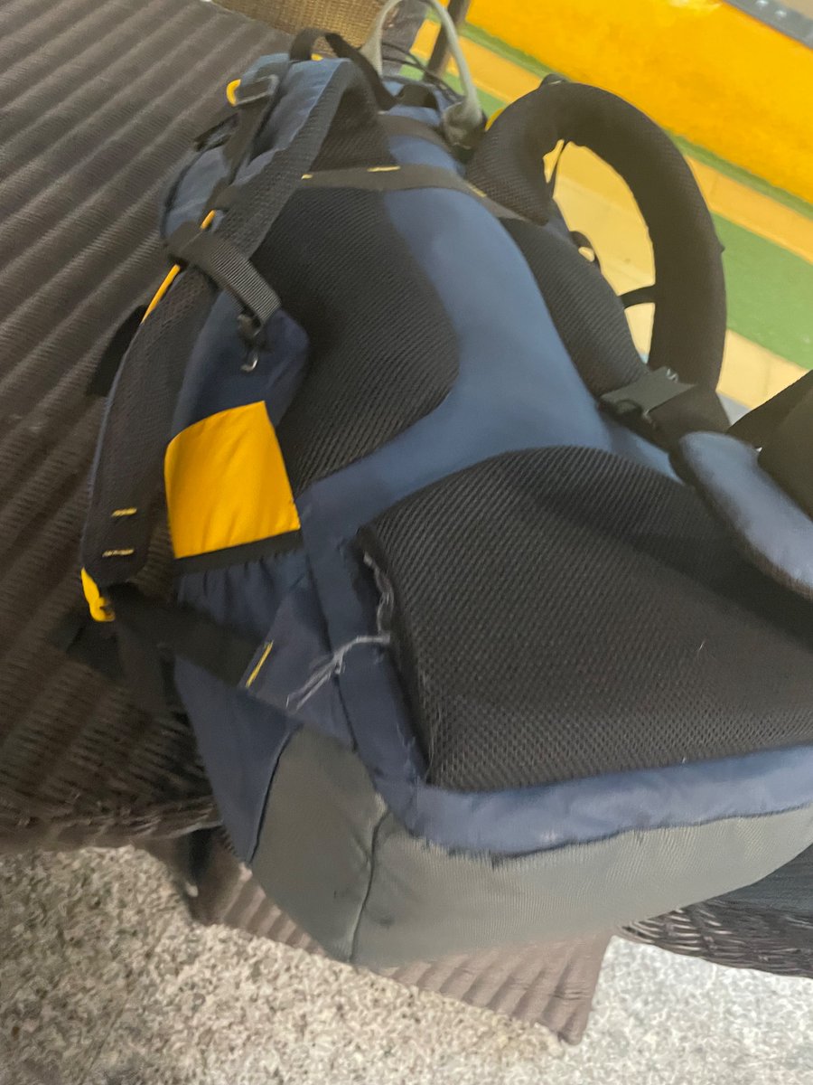 Candice D'souza tweet media