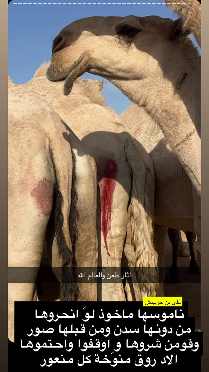 علي بن حريبيش العتيبي tweet media