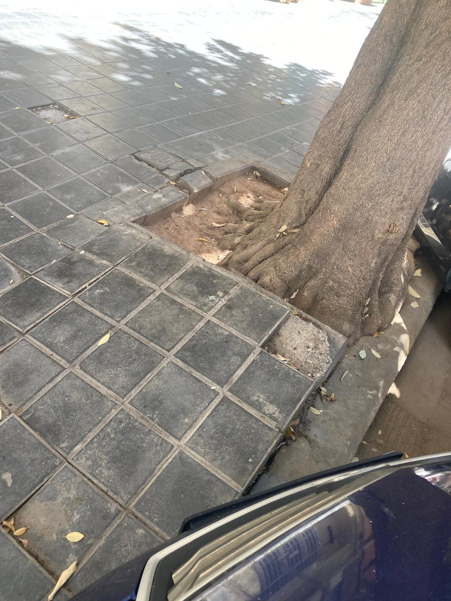 IllesLopez's tweet photo. @AjuntamentVLC buenas tardes soy vecina de la calle rodrigo de pertegas 35 y asi tenemos nuestra acera desde hace 2 años o mas hemos llamado para poner una queja y hemos mandado fotos y nos contestan que hay otras faenas antes que arreglar esto y me parece una verguenza, https://t.co/LRBpsbeySL