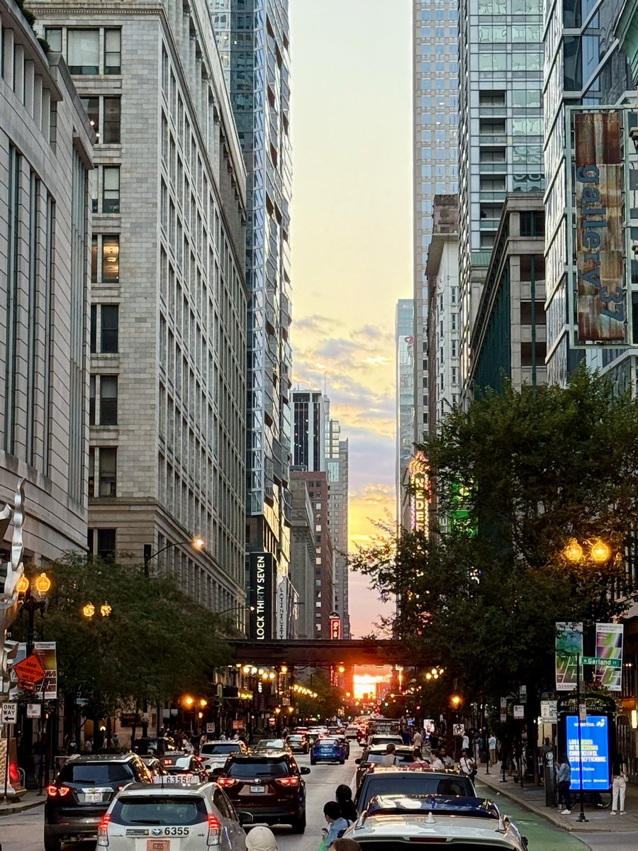 Techie Taco tweet media