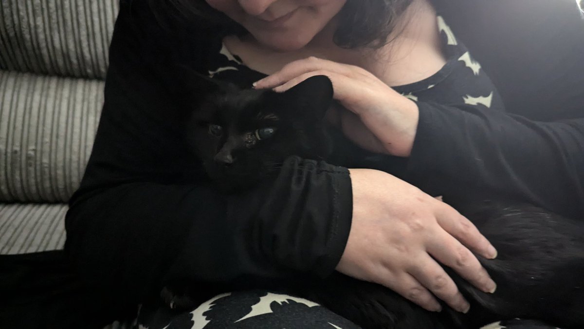 Batica Moomin 🦇 tweet media