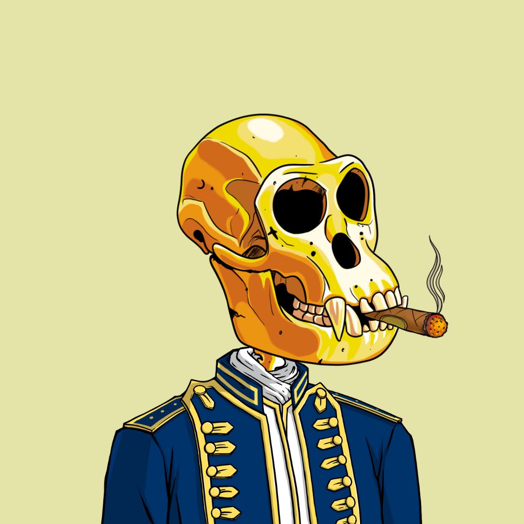 Admiral bones! 🦴

More new traits coming every day 🗳️