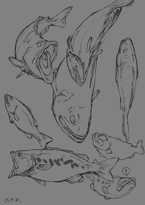 ้ญใ้ฉๅฝใซโ๏ธ