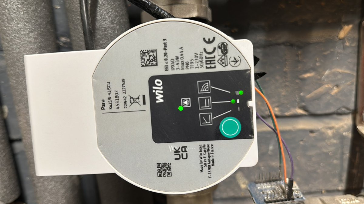 Tomás McGuinness tweet media