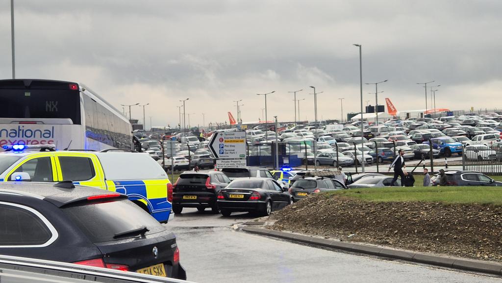 swiss mike tweet media