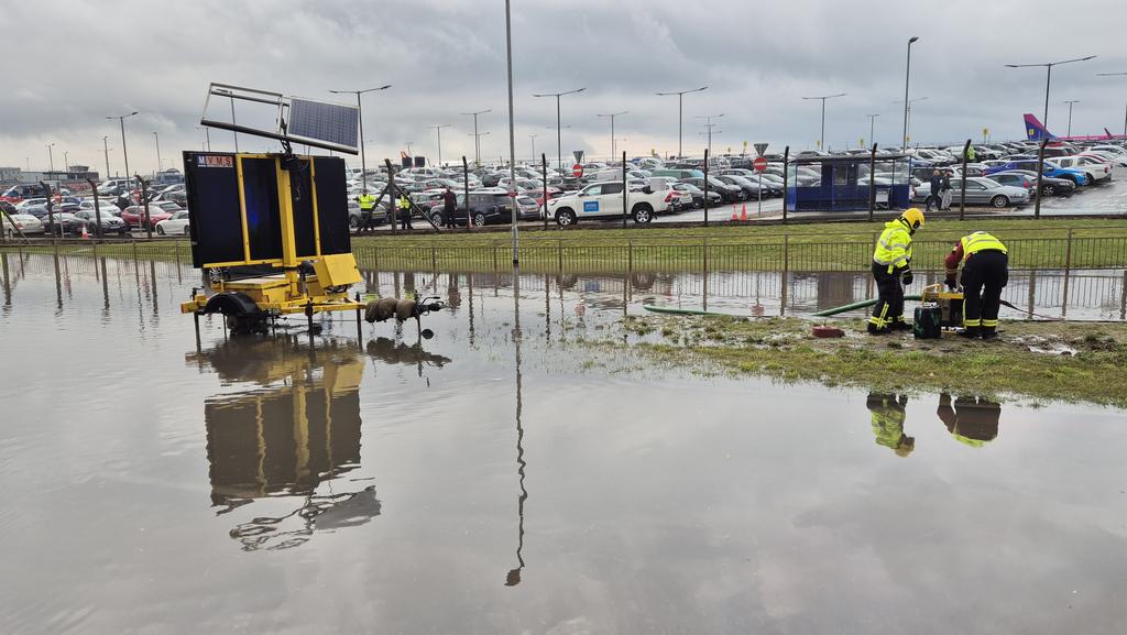 swiss mike tweet media