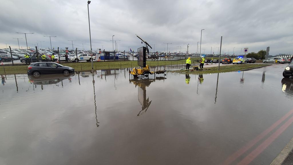 swiss mike tweet media