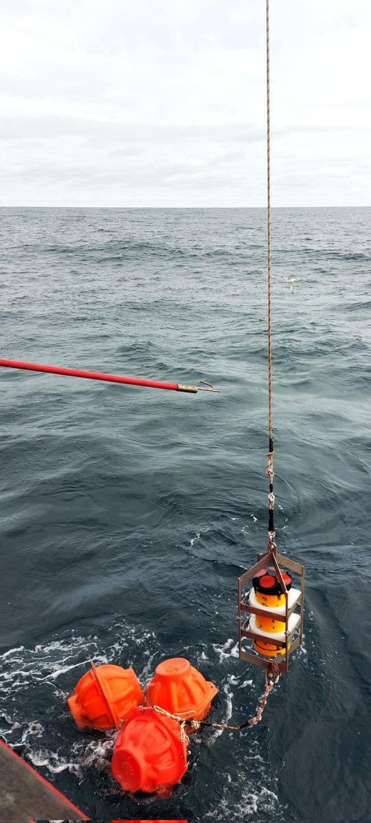 Anna Sanchez Vidal tweet media