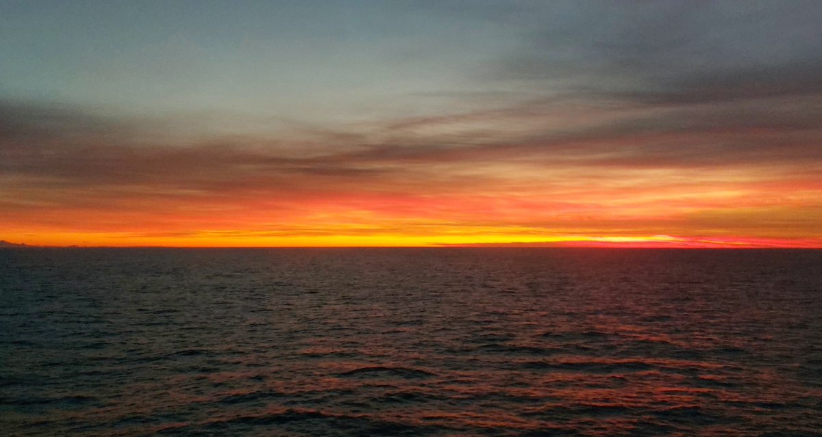 Anna Sanchez Vidal tweet media