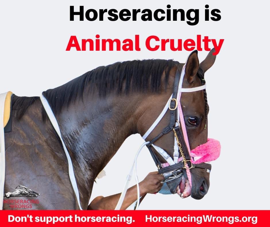 Horseracing is not a sport—it’s animal abuse. <a href="/tkelce/">Travis Kelce</a> Please END your role in this cruel industry and be a voice for the voiceless. #TravisKelce #TaylorSwift #Chiefs #EndHorseRacing #ChiefsKingdom