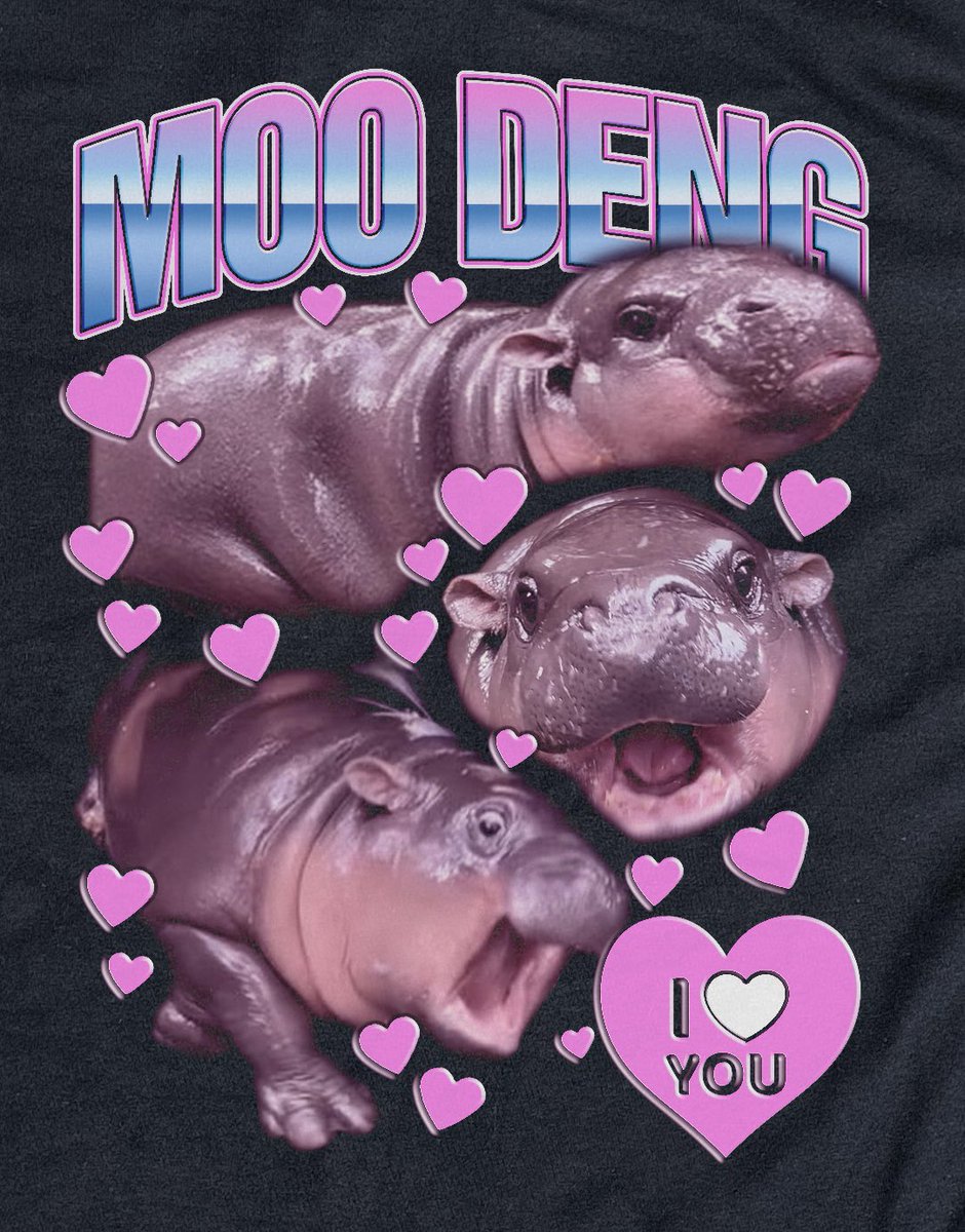 twaniimals's tweet photo. I love u Moo Deng https://t.co/NXKpkjouWM