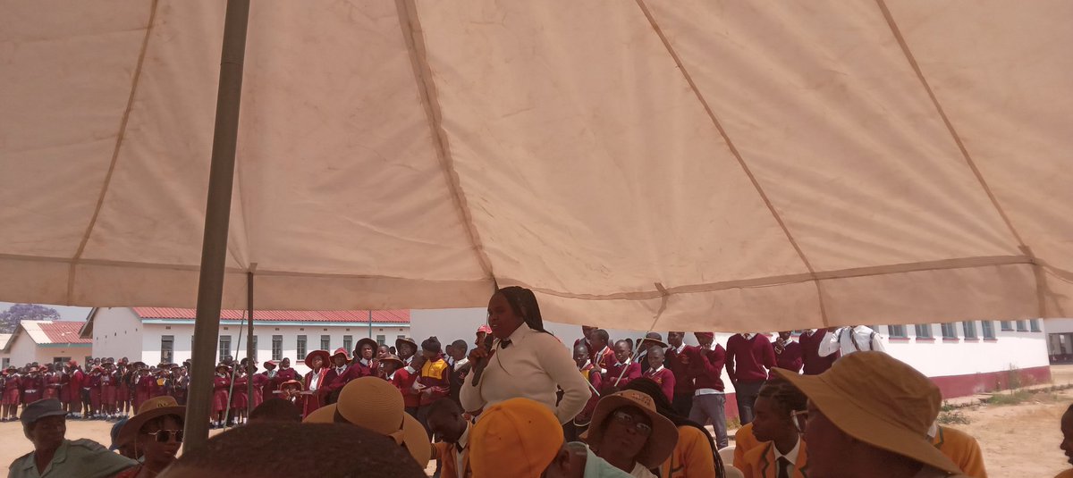 SAAPA Zimbabwe tweet media